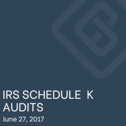 IRS SCHEDULE K AUDITS